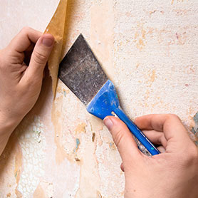 Jiffy Steamer - Eliminado de papel pintado